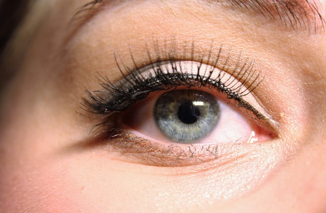 Importance of Eyelashes