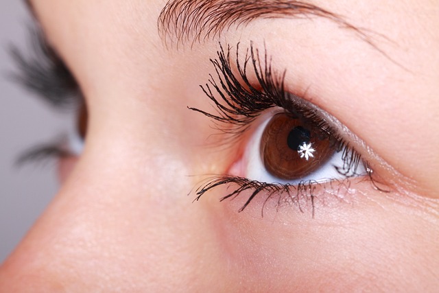 Importance of Eyelashes